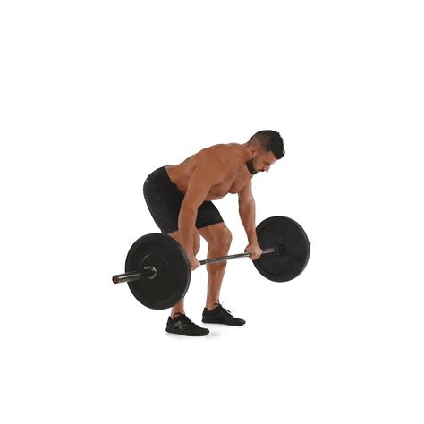 bent over barbell row gif|Proyecto De Inversion Boliche.